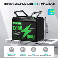 DATOUBOSS Rechargeable Lifepo4 Batteries Voltage Converters Inverter